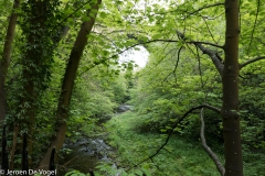 Water of Leith 5