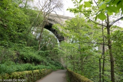 Water of Leith 6