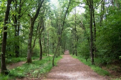 1_Elsterberg-2