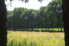 1_Elsterberg-3