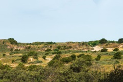 Kennemerduinen-3