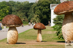 Reuze paddestoelen in Kew Gardens