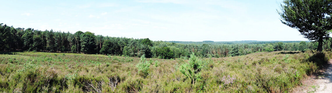 panorama Elsterberg