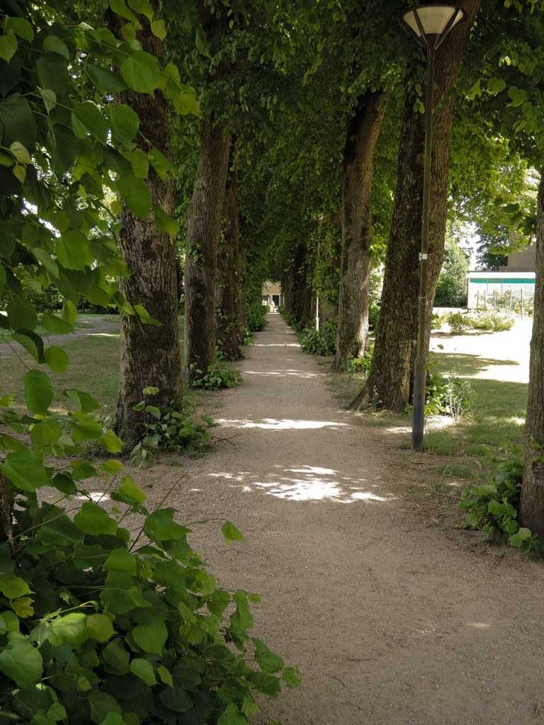 Het parkje op de looproute naar AH